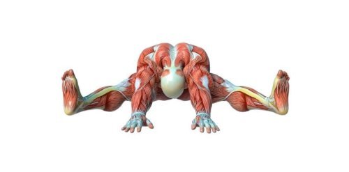 Workout Information  - cover