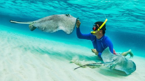 Beware of these dangerous when exploring in and out of the ocean 
