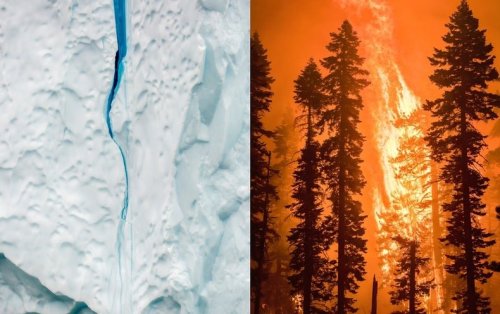 Magazine - The Climate Emergency