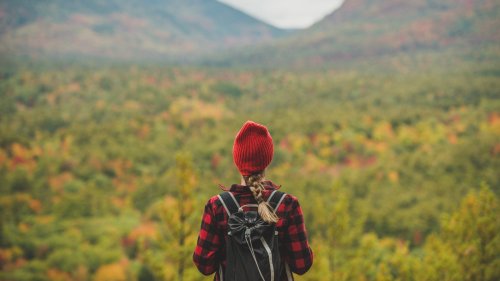 Dangerous creatures to look out for in the Northeast 