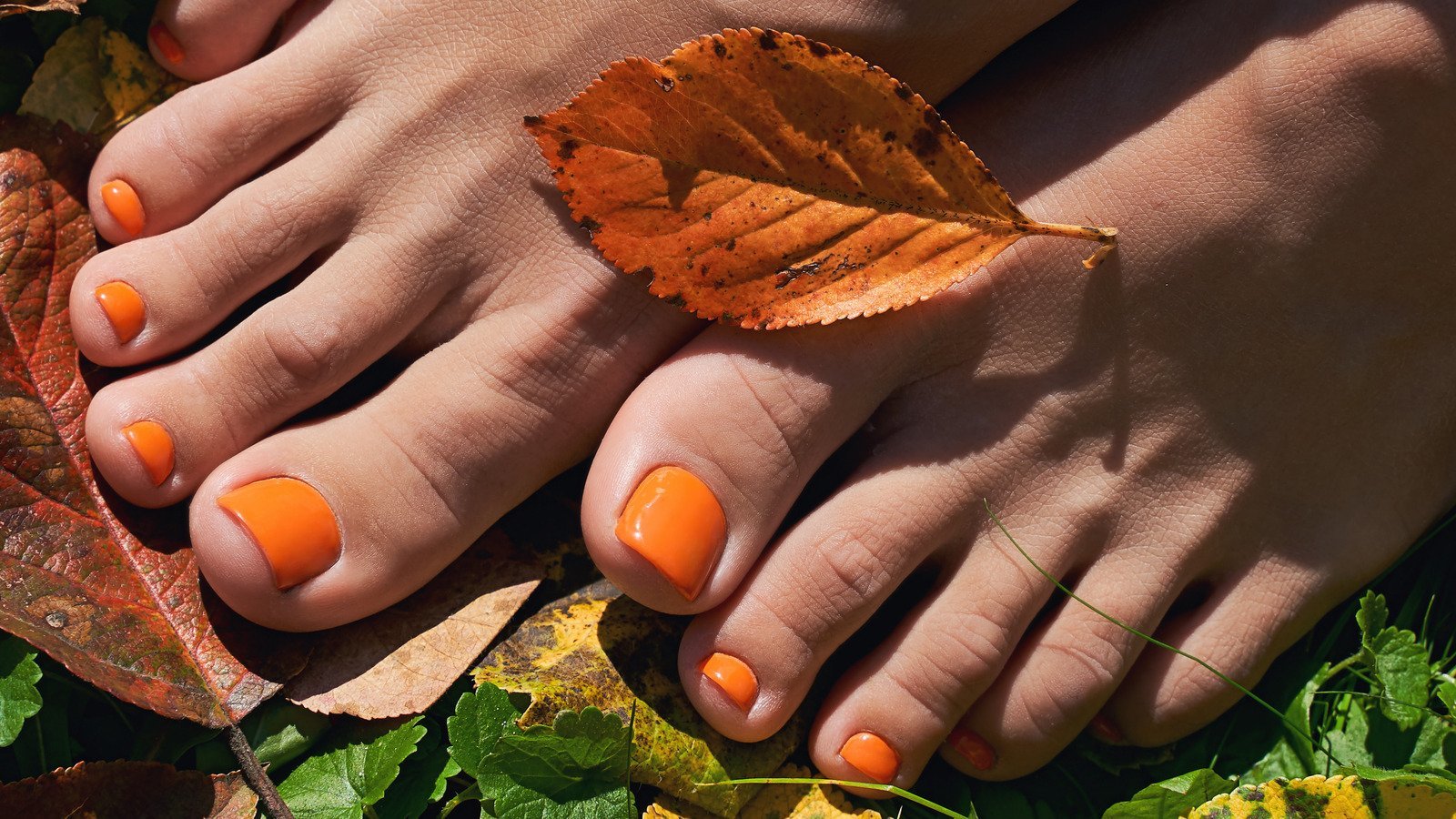 The Best Pedicure Colors for Fall 2026