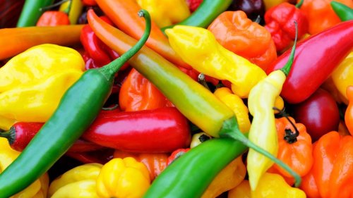 7 of the Hottest Peppers in the World — Plus More About Peppers