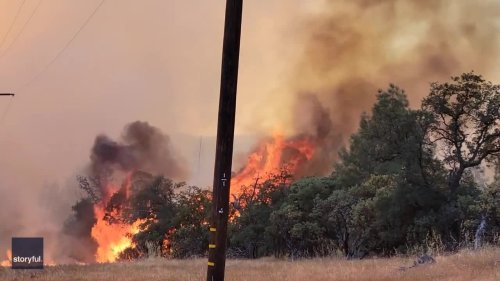 Five Firefighters Injured in 900-Acre Wildfire in California