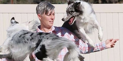 These 9 Pets Have Broken Some Mind-Bending Records