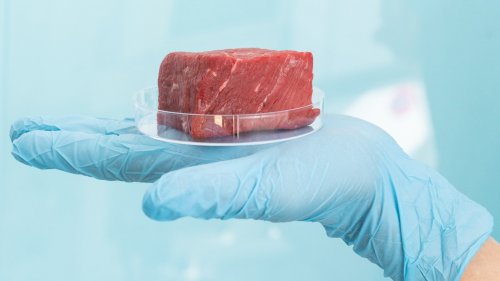 Why Lab-Grown Meat May Soon Hit Your Local Grocery Store Shelves  
