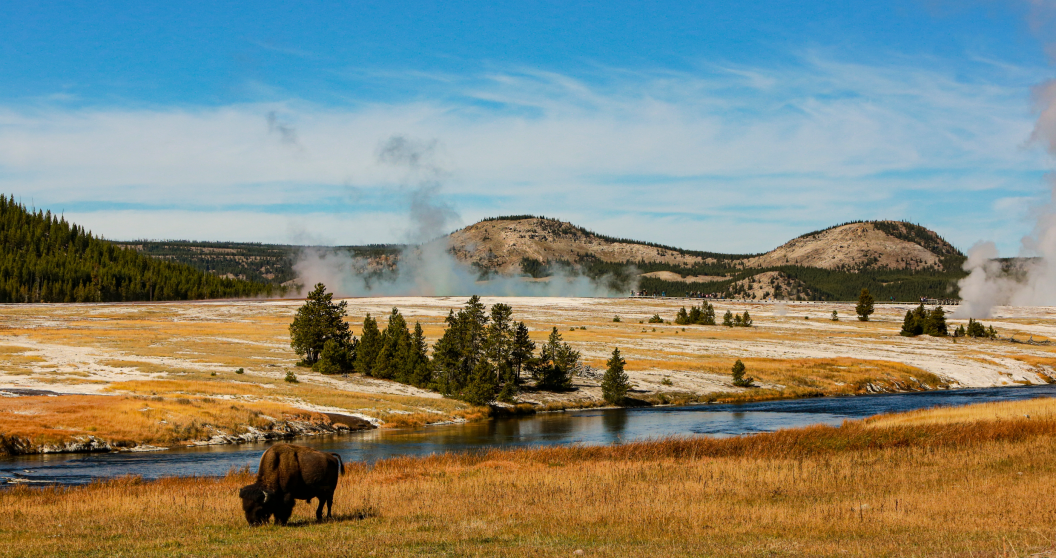 Rapper sparks outrage after filming himself committing a felony at Yellowstone