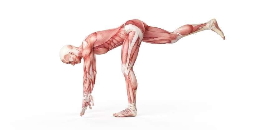 Boost Mobility at Any Age: Hip and Balance Training Made Easy