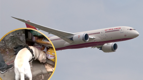 Sniffer Dogs Deployed At Site of Air India Plane Crash: First Black Box Found.