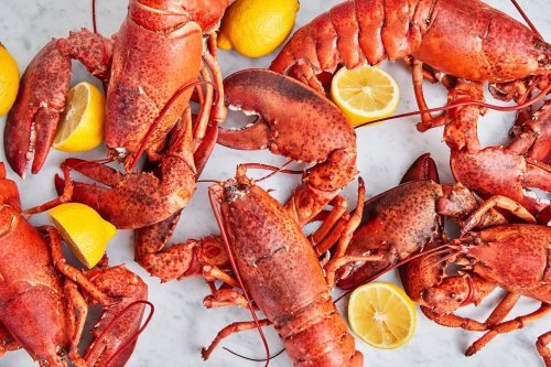 Seafood Ideas & Whatnot