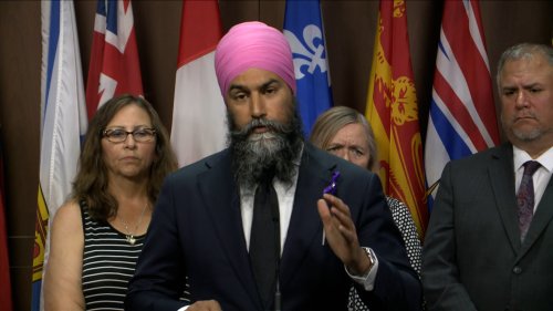 Singh concered about the 'appearance of bias' with David Johnston