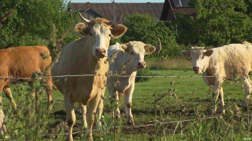 Germany: Seeing where food comes from firsthand