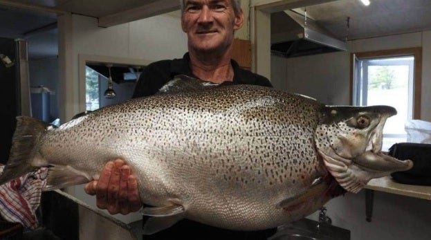 A new world record brown trout. But who caught it?