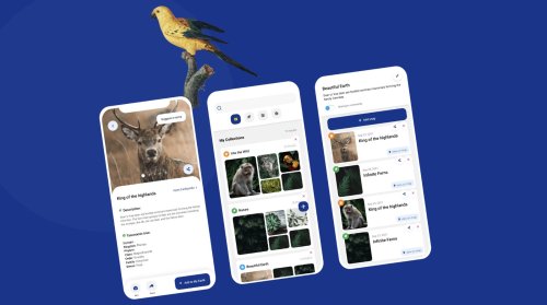 Apps for Nature Lovers
