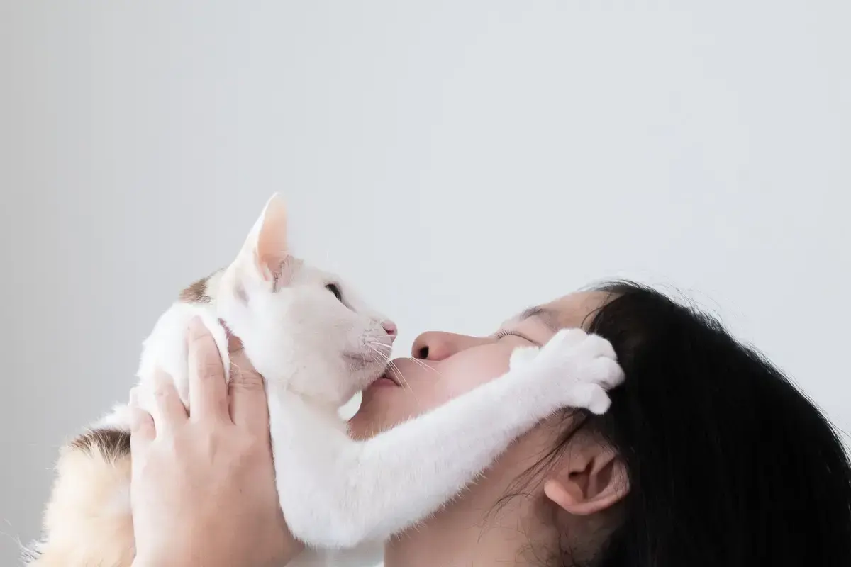 Why does my cat lick my nose? And more cat behaviour Explained