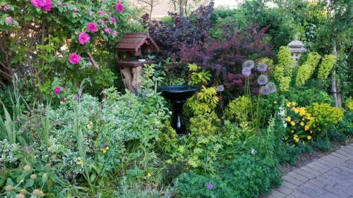 DIY garden decor with these household items