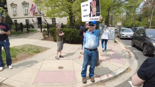 US: Protesters rally in Washington against Trump's executive overreach