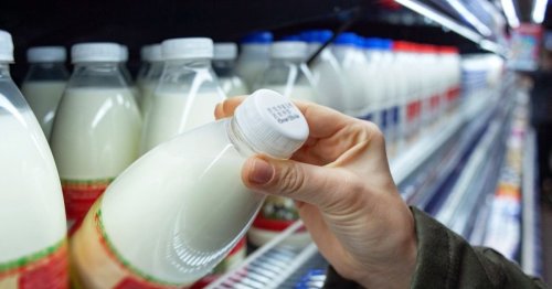 Food Expiration Dates Don't Have Much Science Behind Them