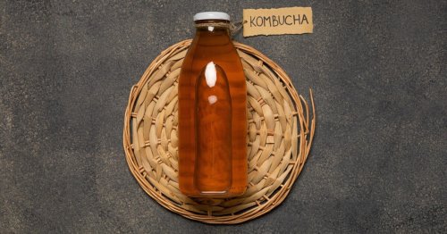 Kombucha microbes break down fat stores like fasting – without the effort