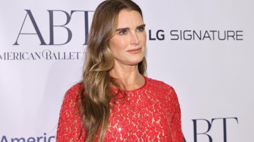 Brooke Shields posed topless at 56 proving age is just a number