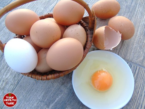 Best Foods That Are High In Vitamin D
