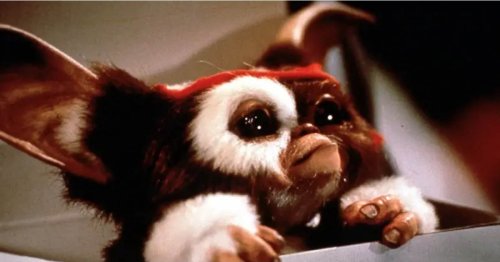 Amazing facts you never knew about Gremlins... and other cult classic movies