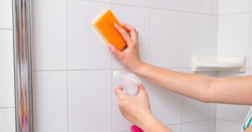 Spring Cleaning Guide