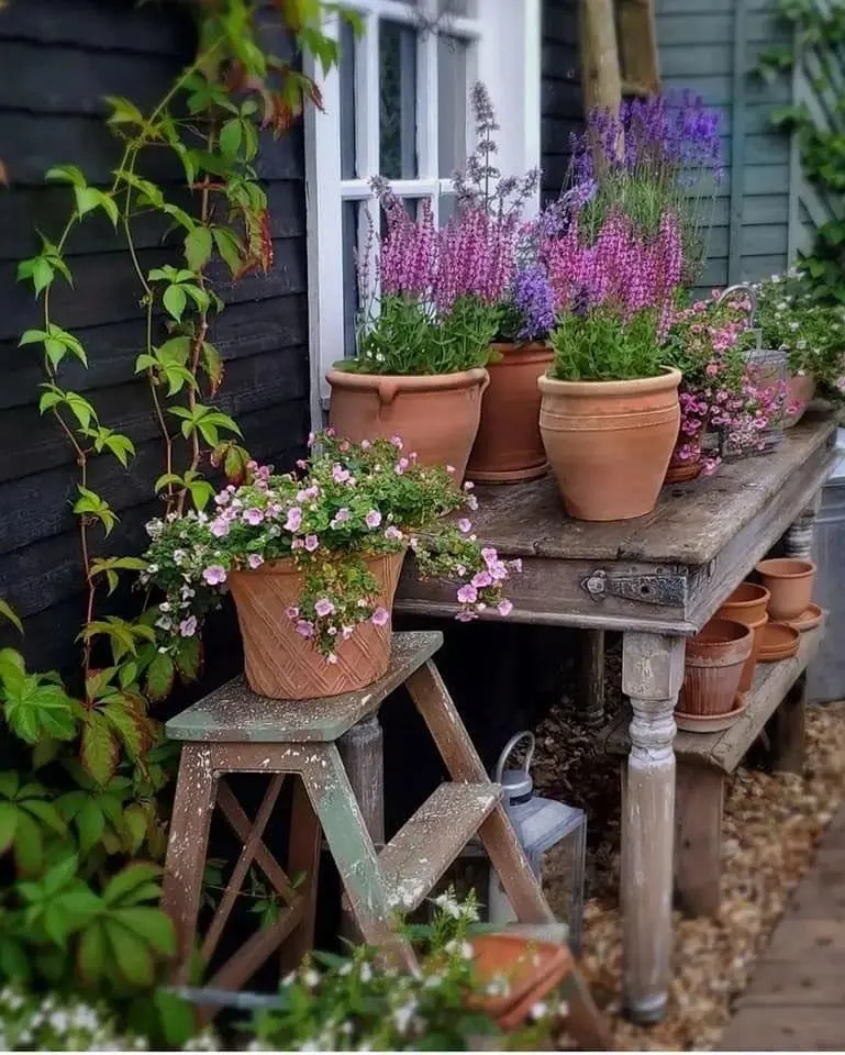 A Home With Gardens - cover