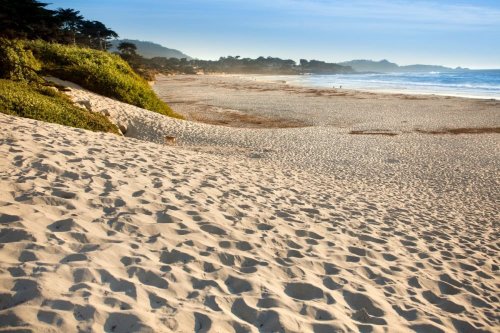 10 Best Beaches in Monterey California