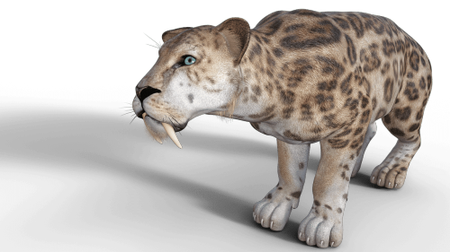 Mysterious Disappearance Of North America’s Large Mammals 50,000 Years Ago