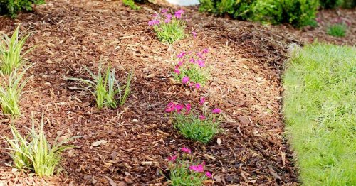 The right way to edge a flower bed for the perfect landscape