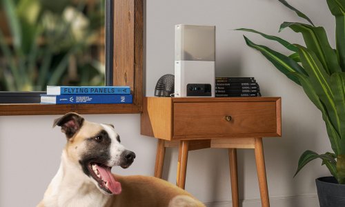 10 essential gadgets for pet parents to pamper their furbabies with