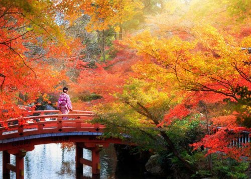 You Won't Be-leave the Autumn Scenery in Japan!