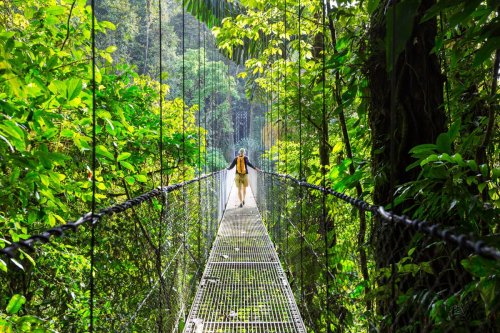 Discovering Costa Rica: Nature's Paradise
