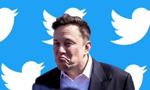 The Real Eason Elon Musk Bought Twitter is...