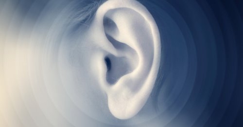 "Master" switch for ear cell programming offers hope for hearing loss