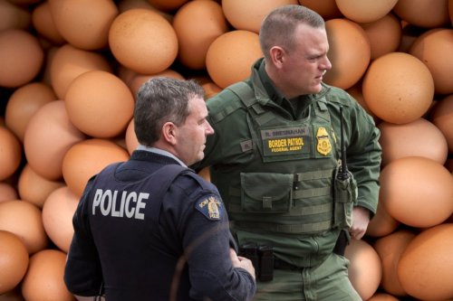 Why are U.S. border agents seizing more eggs than Fentanyl? 
