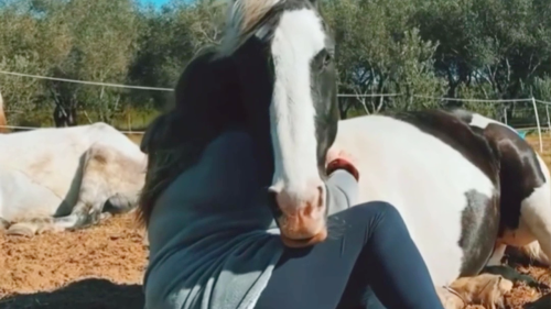 'Woman shares a super adorable, warm hug with her pet horse '