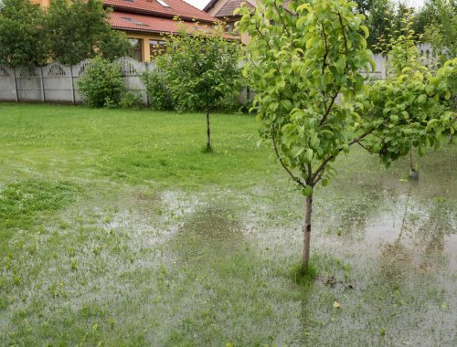 8 WAYS TO CARE FOR YOUR LAWN AFTER HEAVY RAINFALL