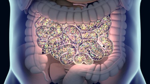 Secrets Inside Your Gut Microbiome