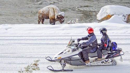Dog-Sledding Is Just One Reason To Visit Yellowstone In The Winter  
