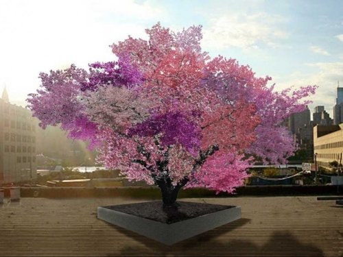 A Professor Created A Single Tree That Can Produce 40 Types Of Fruit