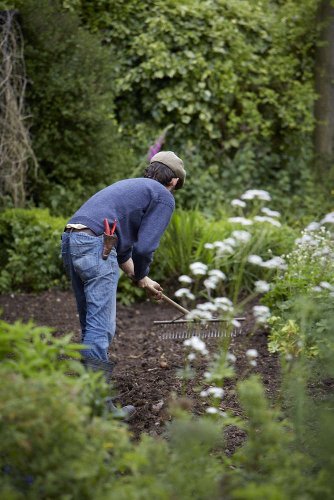 The Right Type of Soil to Buy for Your Garden