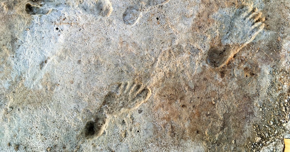 Stone Age footprints are earliest evidence of humans in North America ...