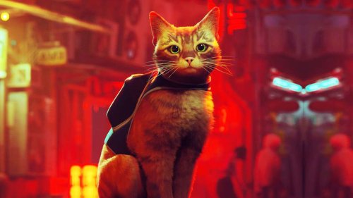 'Stray' Shows Living In a Dystopian World Can Be Fun With Cats