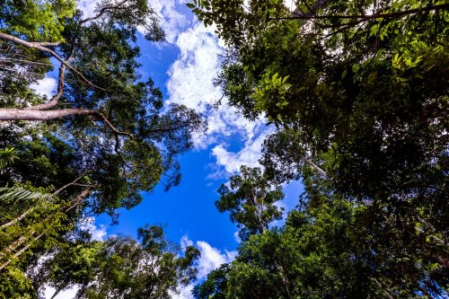 Magazine - ClimateAction Solutions