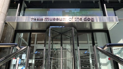 On the Scene: AKC Museum of the Dog