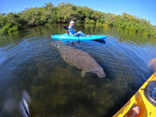 Florida wildlife commission chair denies trying to build destructive project he tried to build