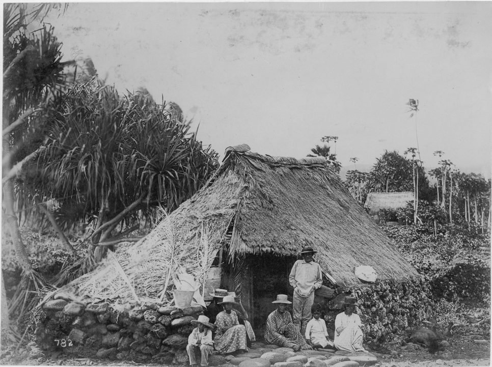 The Cultural Complexity of Hawaiian Genealogical Research » FLUX