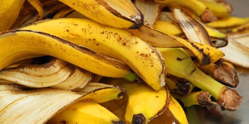 „Bananensplit“ für die Energiewende