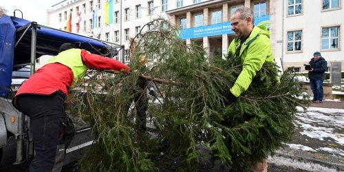 Dürrefolgen: Weihnachtsbaum mit Schaden und Botschaft im Ministerium